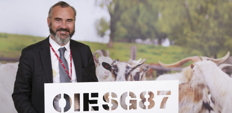 87th General Session - World Organisation for Animal Health Paris, 26-31  May 2019 - Diagnostics For Animals