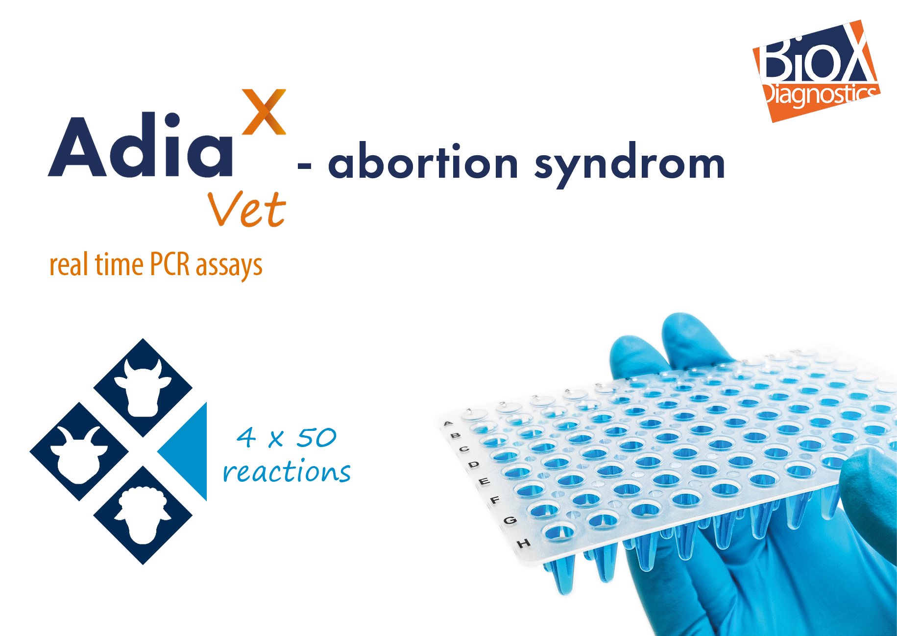 ADIAVET ABORTION 4×50 - BIO X DIAGNOSTICS for Diagnostics For Animals