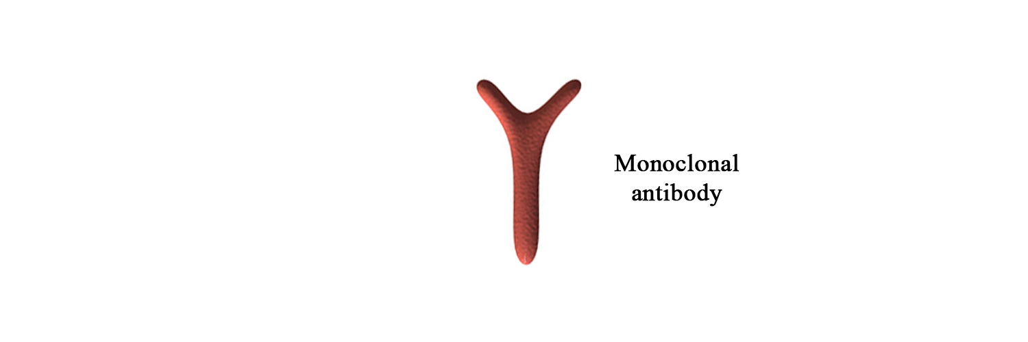 Moab a-BVDV - BIO X DIAGNOSTICS for Diagnostics For Animals