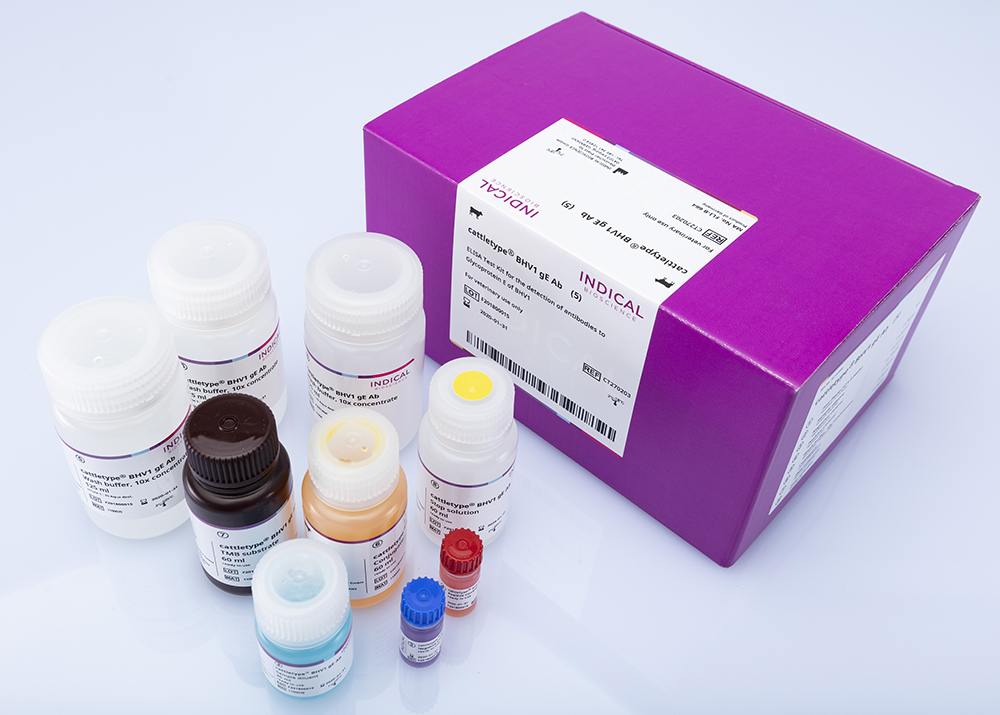 cattletype® BHV1 gE Ab - INDICAL BIOSCIENCE GmbH for Diagnostics For Animals