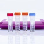 virotype® ASFV PCR Kit Array