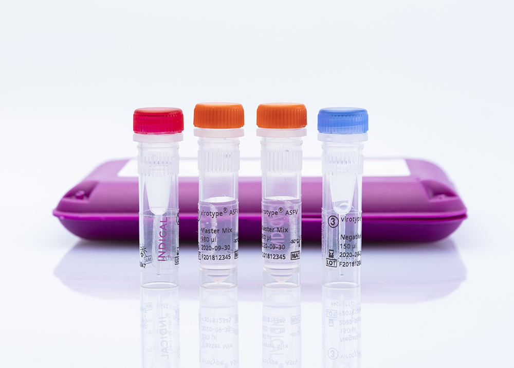 virotype® ASFV PCR Kit - INDICAL BIOSCIENCE GmbH for Diagnostics For Animals