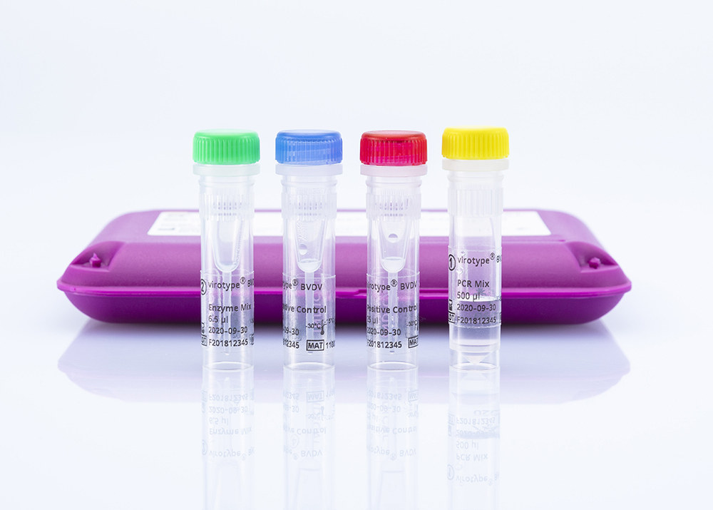 virotype® BVDV RT-PCR Kit - INDICAL BIOSCIENCE GmbH for Diagnostics For Animals