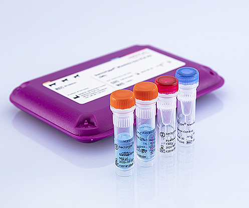 bactotype® Mastitis Env PCR Kit - INDICAL BIOSCIENCE GmbH for Diagnostics For Animals