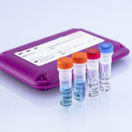 bactotype® Mastitis Env PCR Kit Array