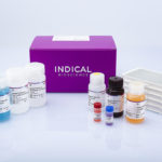 pigtype® PRRSV Ab Array