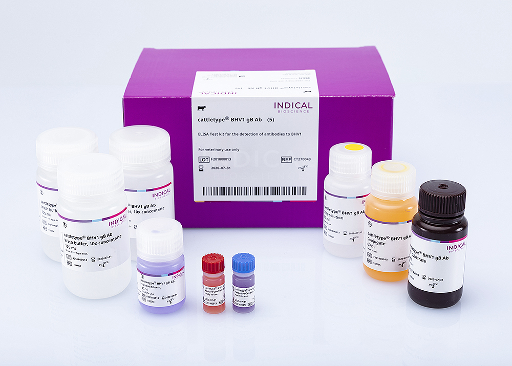 cattletype® BHV1 gB Ab - INDICAL BIOSCIENCE GmbH for Diagnostics For Animals