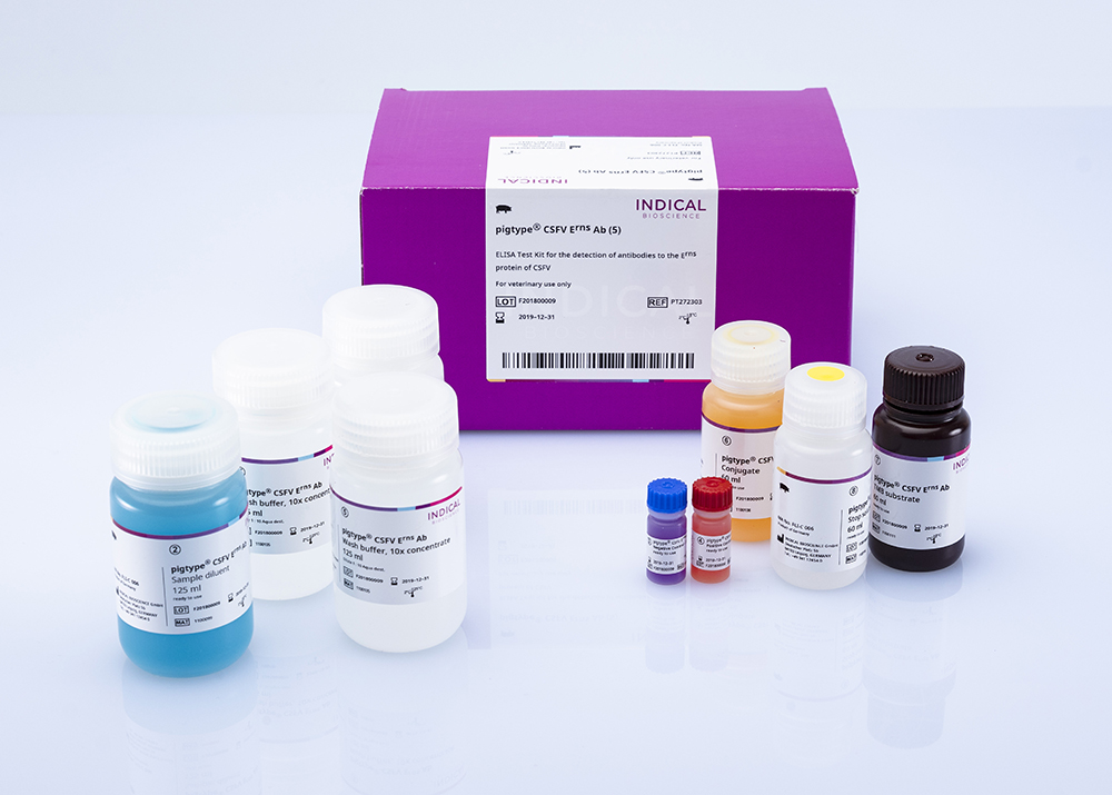 pigtype® CSFV Erns Ab - INDICAL BIOSCIENCE GmbH for Diagnostics For Animals