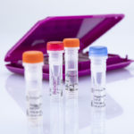 virotype® BTV pan/4 RT-PCR Kit Array