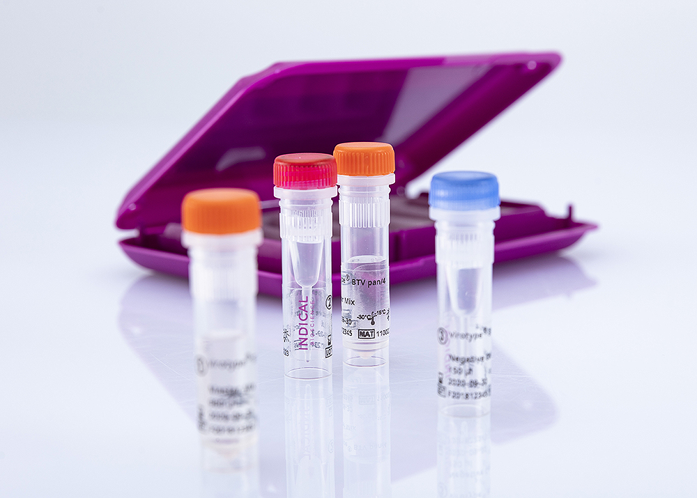 virotype® BTV pan/4 RT-PCR Kit - INDICAL BIOSCIENCE GmbH for Diagnostics For Animals