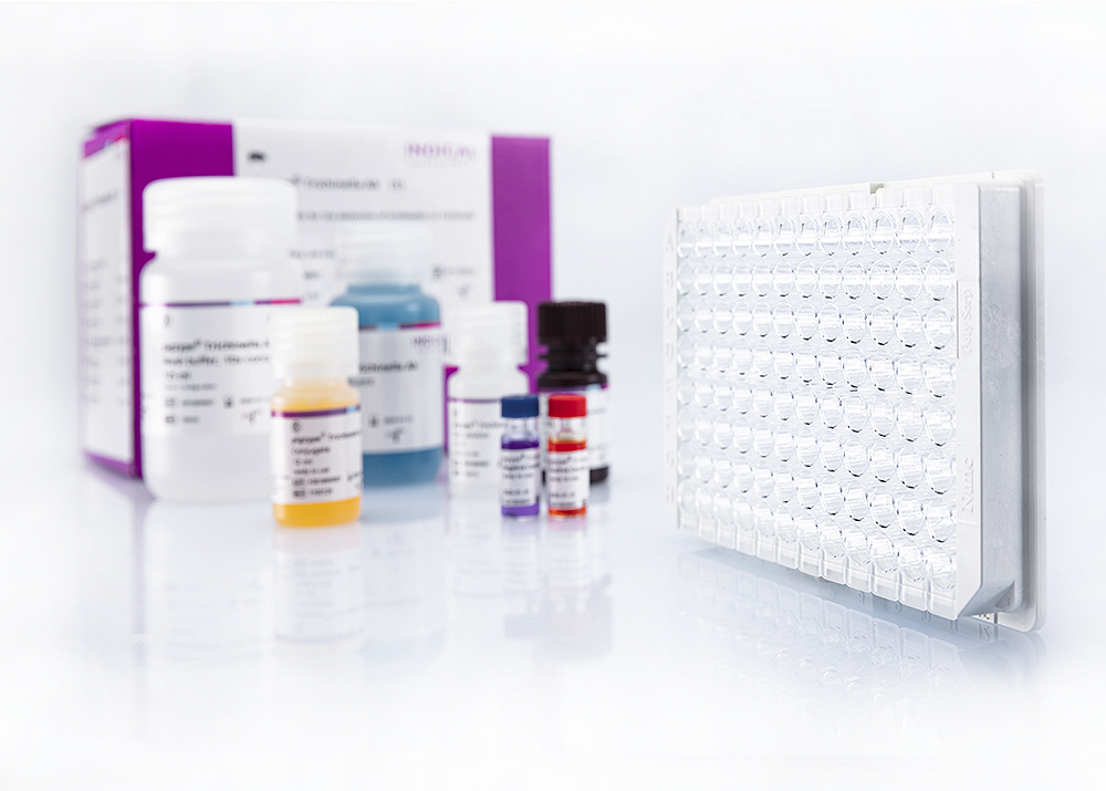 pigtype® Trichinella Ab - INDICAL BIOSCIENCE GmbH for Diagnostics For Animals