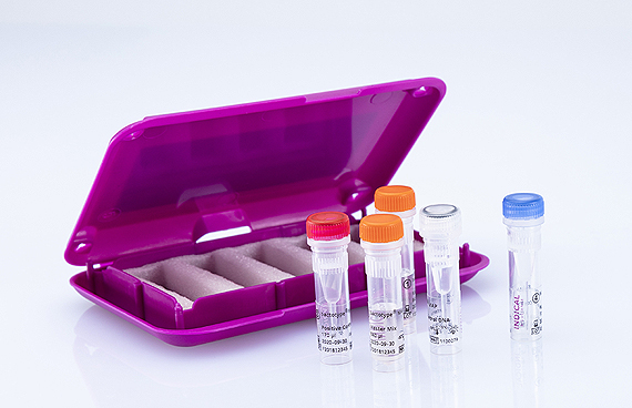 bactotype® MAP PCR Kit - INDICAL BIOSCIENCE GmbH for Diagnostics For Animals