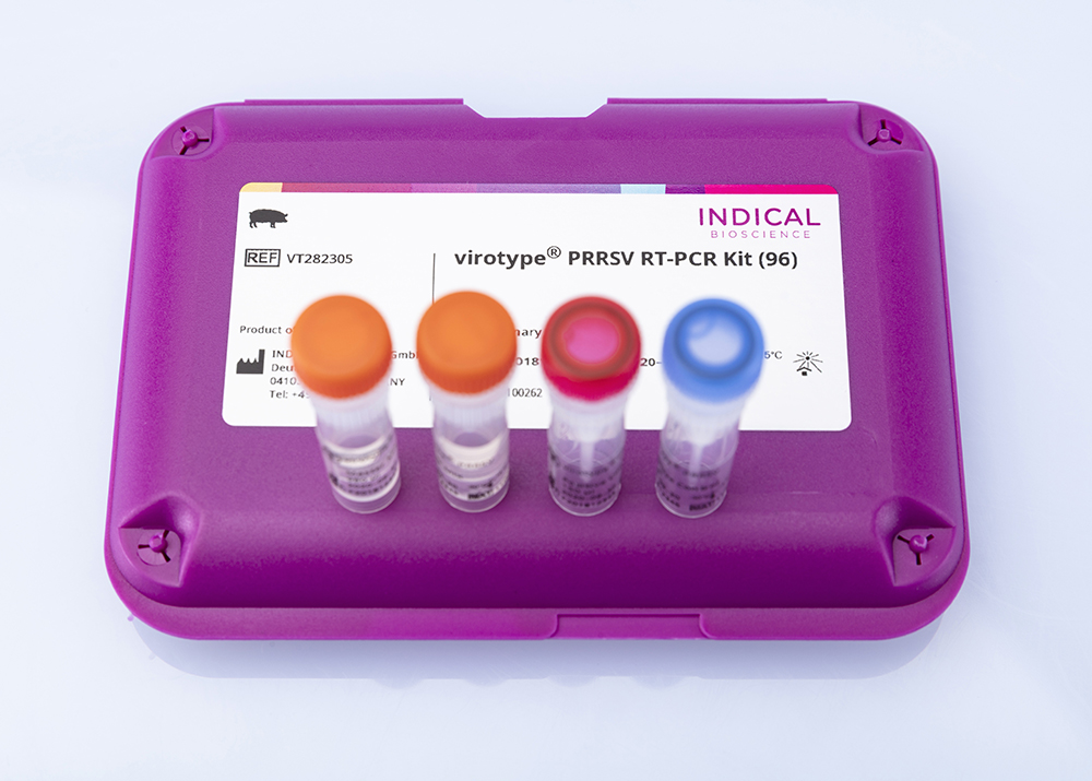 virotype® PRRSV RT-PCR Kit - INDICAL BIOSCIENCE GmbH for Diagnostics For Animals