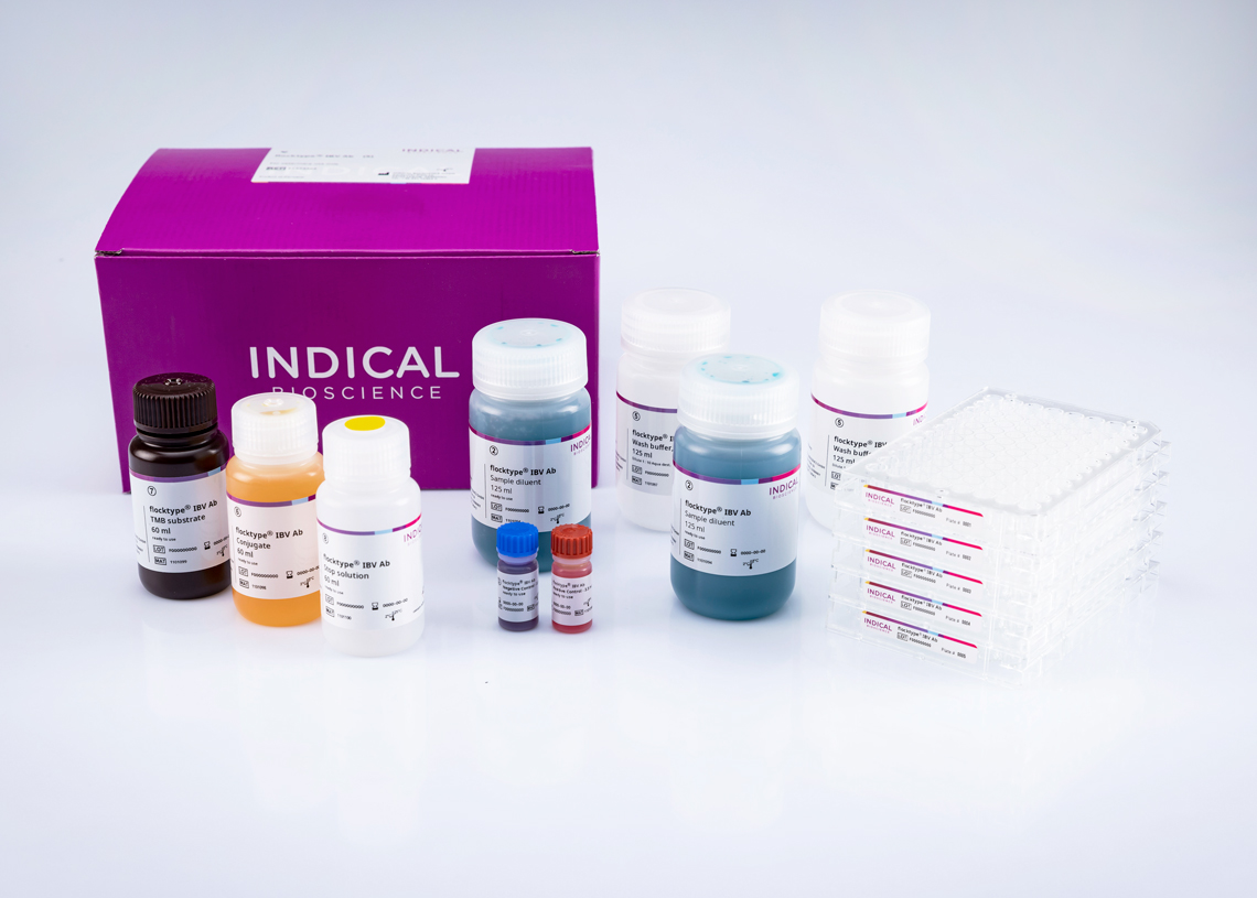 flocktype® IBV Ab - INDICAL BIOSCIENCE GmbH for Diagnostics For Animals