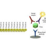 Monoscreen AbELISA rotavirus Array