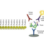 Monoscreen AbELISA Clostridium perfringens epsilon toxin Array