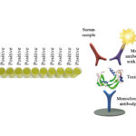 Monoscreen AbELISA Clostridium perfringens beta toxin Array