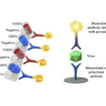 Multiscreen AgELISA VHSV-IHNV Array