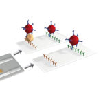 DipFit Clostridium perfringens Array