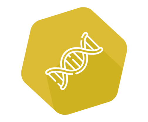 INgene q Mycoplasma putrefaciens - GOLD STANDARD DIAGNOSTICS for Diagnostics For Animals