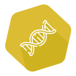 INgene q Mycobacterium bovis & M. caprae Array