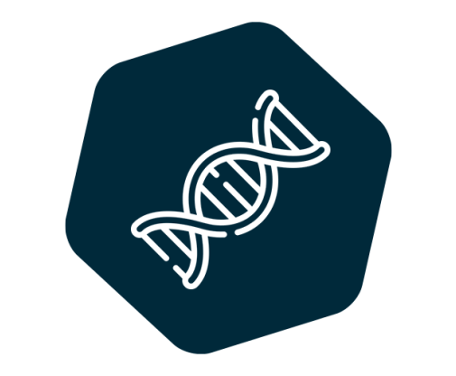 INgene q Aeromonas hydrophila - GOLD STANDARD DIAGNOSTICS for Diagnostics For Animals