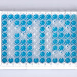 MegaELISA® CRP canine Array