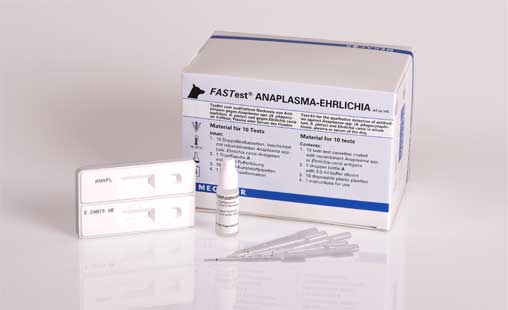 FASTest® ANAPLASMA-EHRLICHIA - MEGACOR for Diagnostics For Animals