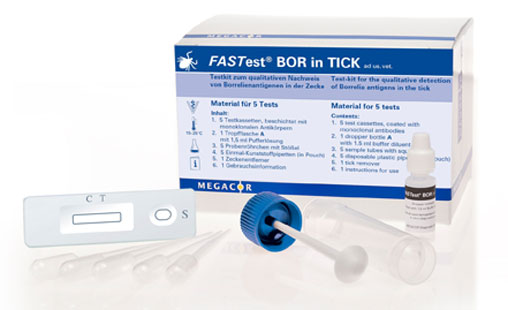 FASTest® BOR in TICK - MEGACOR for Diagnostics For Animals