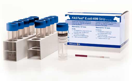 FASTest® E.coli-K99 Strip - MEGACOR for Diagnostics For Animals