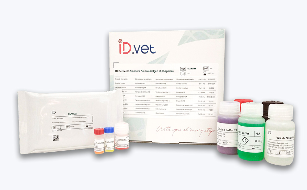 ID Screen® Glanders Double Antigen Multi-species - INNOVATIVE-DIAGNOSTIC for Diagnostics For Animals