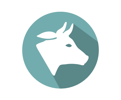 INgezim Brucella Bovina 2.0 - GOLD STANDARD DIAGNOSTICS for Diagnostics For Animals