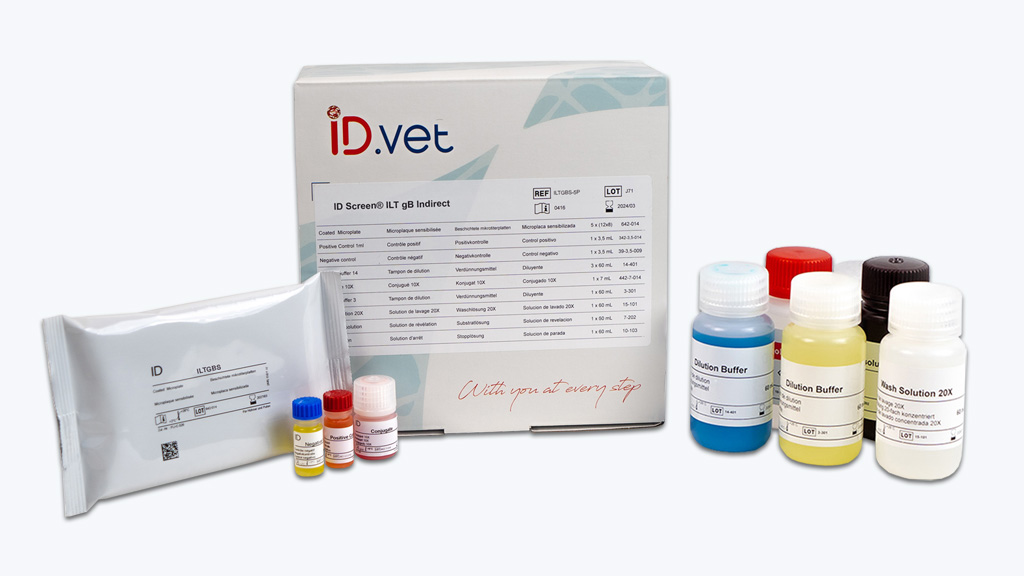 ID Screen® ILT gB Indirect (gB) - INNOVATIVE-DIAGNOSTIC for Diagnostics For Animals