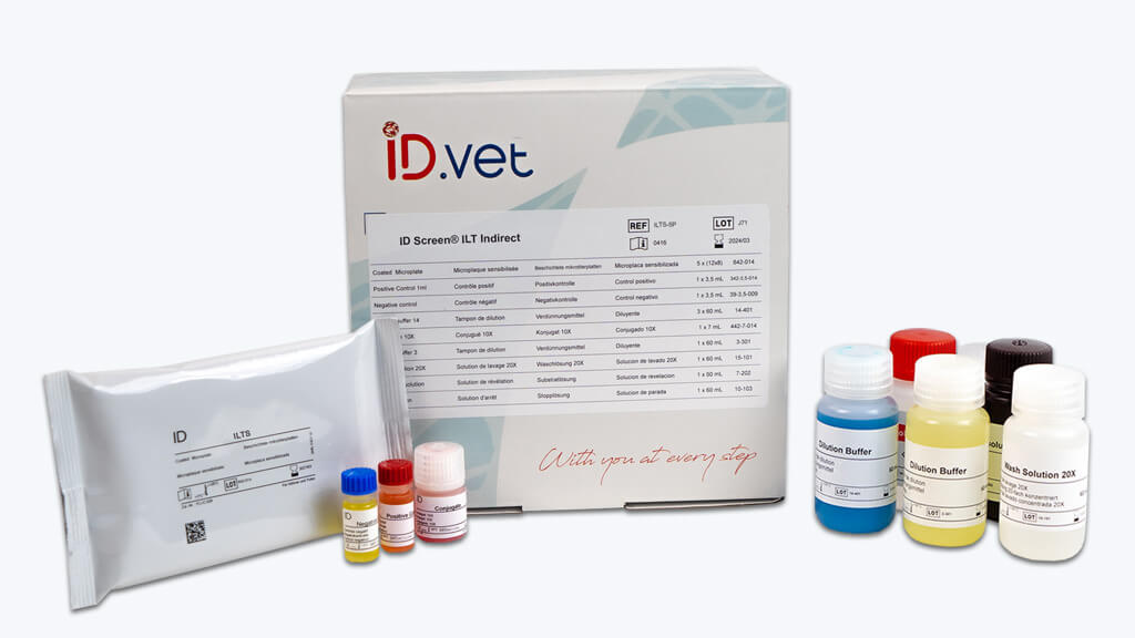 ID Screen® ILT Indirect - INNOVATIVE-DIAGNOSTIC for Diagnostics For Animals