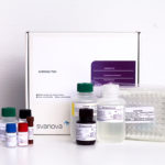 SVANOVIR® Brucella-Ab C-ELISA Array