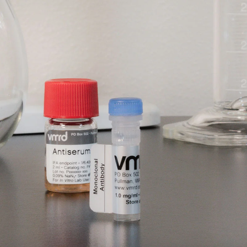 Bovine Viral Diarrhea Virus Type 1&2 (BVDV-1&2) MAb Ascites IgG1 Isotype - VMRD for Diagnostics For Animals