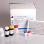 MegaELISA® FeLV Antigen Array