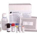 MegaELISA® FIV Array