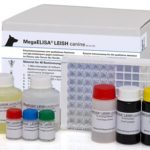 MegaELISA® LEISH canine Array