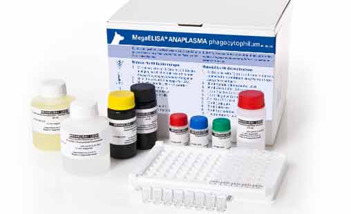 MegaELISA® ANAPLASMA phagocytophilum - MEGACOR for Diagnostics For Animals