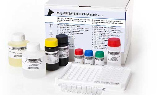 MegaELISA® EHRLICHIA canis - MEGACOR for Diagnostics For Animals