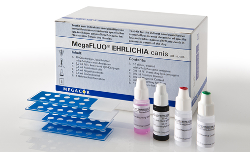 MegaFLUO® EHRLICHIA canis - MEGACOR for Diagnostics For Animals