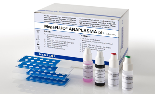 MegaFLUO® ANAPLASMA ph - MEGACOR for Diagnostics For Animals