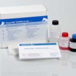 MegaLINE® BORRELIA IgG Array