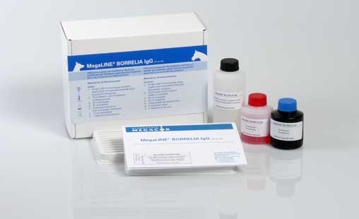 MegaLINE® BORRELIA IgG - MEGACOR for Diagnostics For Animals