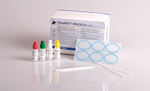 MegaRSAT® BRUCELLA canis - MEGACOR for Diagnostics For Animals