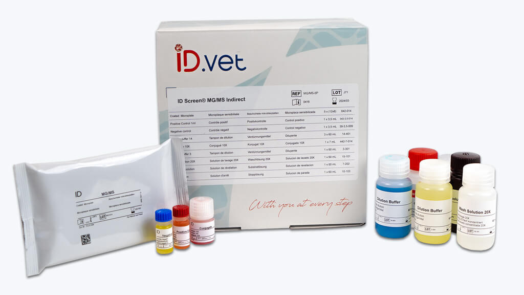 ID Screen® MG/MS Indirect - INNOVATIVE-DIAGNOSTIC for Diagnostics For Animals