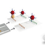 Rainbow Calf Scours 6 Array