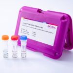 virotype® SBV 2.0 RT-PCR Kit Array