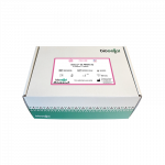 BioLisa® kit PRRSV Ab Array